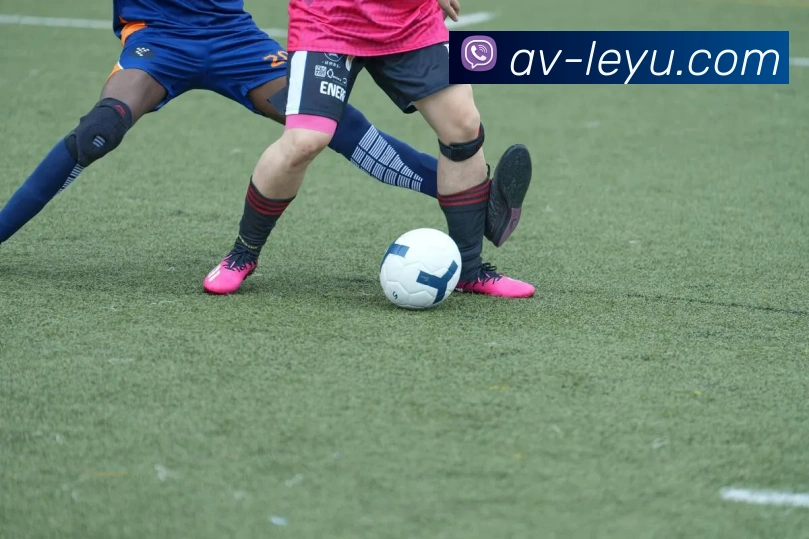 乐鱼体育APP 封面图