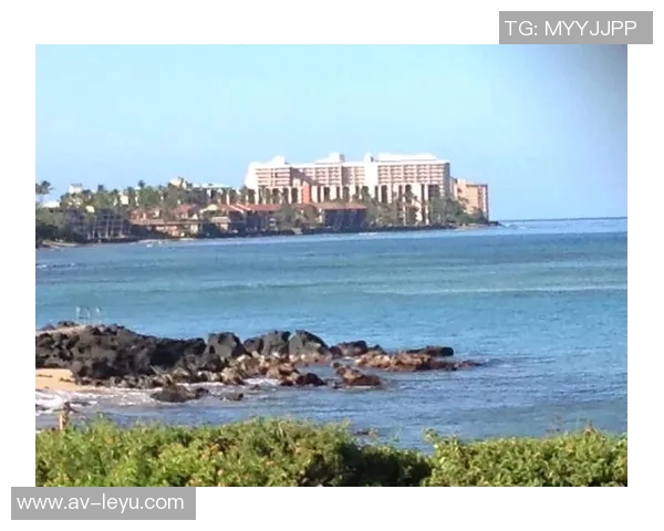 德克透露放弃独行侠管理层计划更愿与家人共享旅行时光